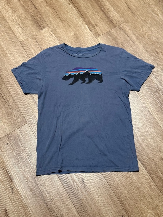 Patagonia Other - Patagonia Shirt Mens Medium Blue Short Sleeve Hiking Bear Mountains